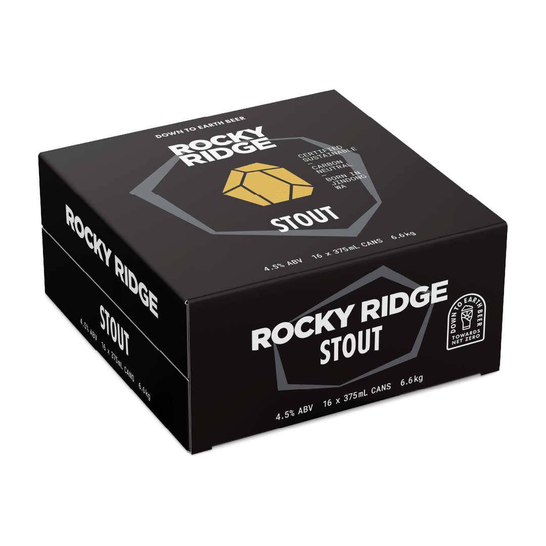 RR-Can_16x-375mL-STOUT_WEB_SQUARE
